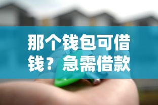 那个钱包可借钱？急需借款安全靠谱的平台推荐