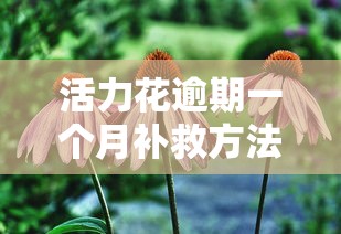 活力花逾期一个月补救方法指南