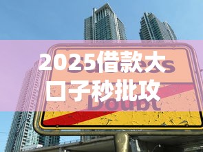 2025借款大口子秒批攻略
