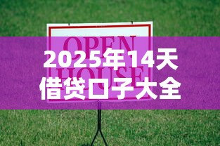 2025年14天借贷口子大全