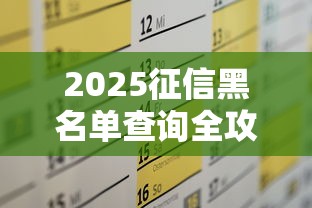 2025征信黑名单查询全攻略