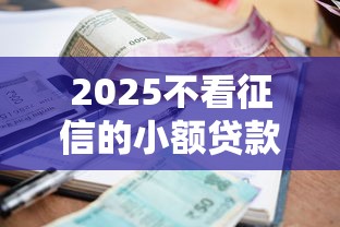 2025不看征信的小额贷款平台