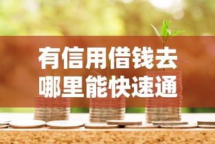 有信用借钱去哪里能快速通过？急需正规低息借款渠道推荐
