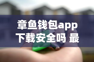 章鱼钱包app下载安全吗 最新官方下载安装教程