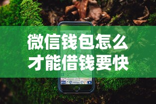 微信钱包怎么才能借钱要快速借款的方法