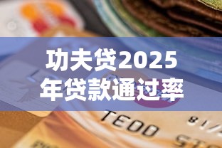 功夫贷2025年贷款通过率全解析