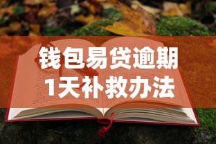 钱包易贷逾期1天补救办法