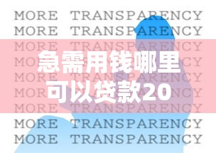 急需用钱哪里可以贷款2025年深度解读智能！本篇评述5个借款口子哪里可以网贷借钱