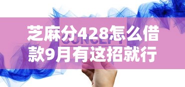 芝麻分428怎么借款9月有这招就行！顺便总结5个最容易通过的小额网贷
