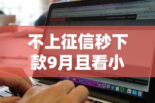 不上征信秒下款9月且看小道消息！本文为您全面论述！
