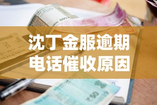 沈丁金服逾期电话催收原因解析