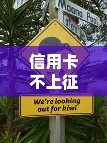 信用卡不上征信的5个关键原因