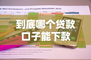 到底哪个贷款口子能下款