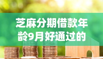 芝麻分期借款年龄9月好通过的实际上可挑的数量多！本文为您详细综括这五个黑户贷款口子！_1
