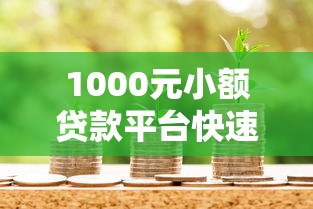 1000元小额贷款平台快速借款攻略