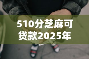 510分芝麻可贷款2025年千人真实反馈！隆重诠释湘貓现金以及慧車秒申等5个借款软件