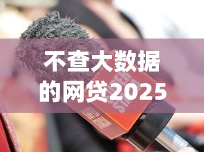 不查大数据的网贷20252025年更新这5个！本文为您深入收藏！_1