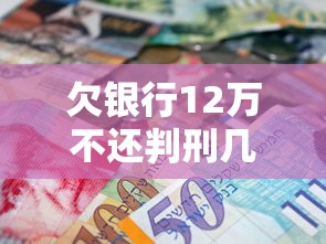 欠银行12万不还判刑几年