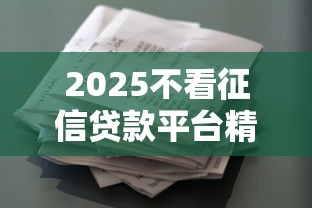 2025不看征信贷款平台精选