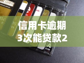 信用卡逾期3次能贷款2025年容易过的能选的数量真挺多！今天为您全面分说这五个黑户借钱平台！_1