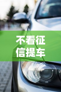 不看征信提车9月豁然开朗！为您集合五个不用征信贷款买车软件