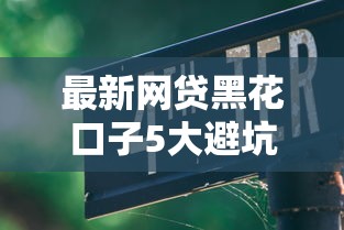 最新网贷黑花口子5大避坑指南