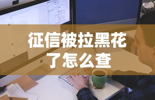 征信被拉黑花了怎么查