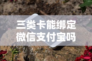 三类卡能绑定微信支付宝吗