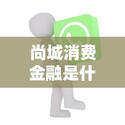 尚城消费金融是什么贷款APP