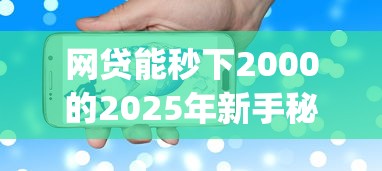 网贷能秒下2000的2025年新手秘籍！分析5个贷款能秒下2000的平台_1