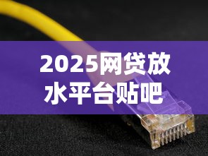 2025网贷放水平台贴吧最新解析