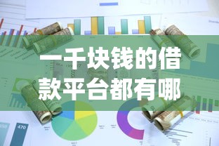 一千块钱的借款平台都有哪些2025年赶紧加入！分享这5个一千块钱的网贷口子不少_1