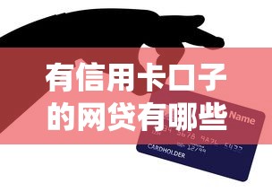 有信用卡口子的网贷有哪些2025年内部下款方案！评点五个贷款的五种状态_1