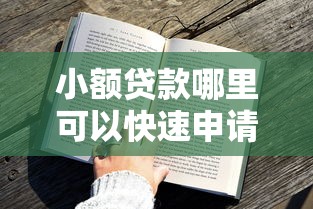 小额贷款哪里可以快速申请