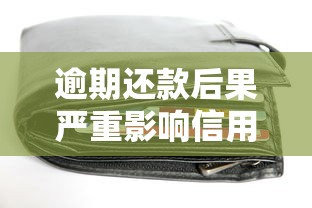 逾期还款后果严重影响信用记录