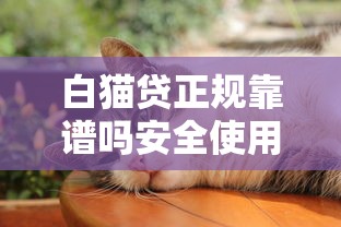 白猫贷正规靠谱吗安全使用指南