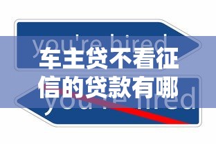 车主贷不看征信的贷款有哪些