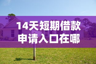 14天短期借款申请入口在哪