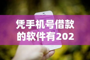 凭手机号借款的软件有2025年借款实战总结！同时展示这5个凭手机号贷款的平台有网贷