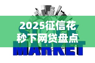 2025征信花秒下网贷盘点