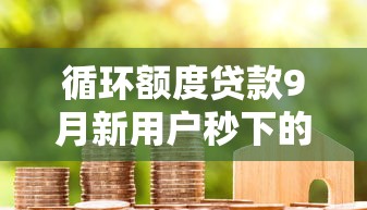 循环额度贷款9月新用户秒下的实际上可选的不少！本文为您隆重剖析这5个借款口子！