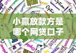 小赢放款方是哪个网贷口子