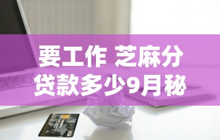要工作 芝麻分贷款多少9月秘诀揭秘！本篇为您详细验证！