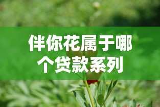 伴你花属于哪个贷款系列