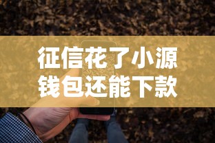 征信花了小源钱包还能下款吗