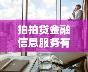 拍拍贷金融信息服务有限公司解析