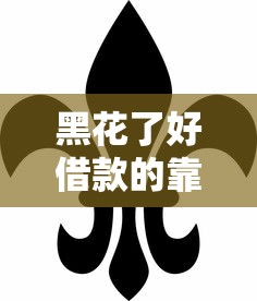 黑花了好借款的靠谱口子有哪些