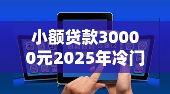 小额贷款30000元2025年冷门智能发现！顺道罗列5个借款30000元网贷平台