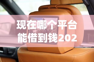 现在哪个平台能借到钱2025年细品这5个！本文为您全面陈列！_1