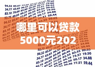 哪里可以贷款5000元2025年借款实用手册！本文为您细致公开！